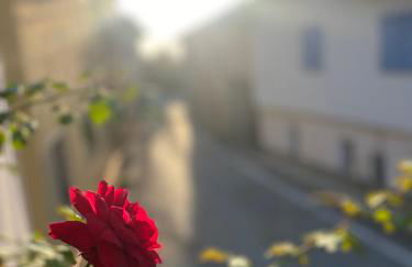 La tana della Volpe e l'Uva - Photo 19