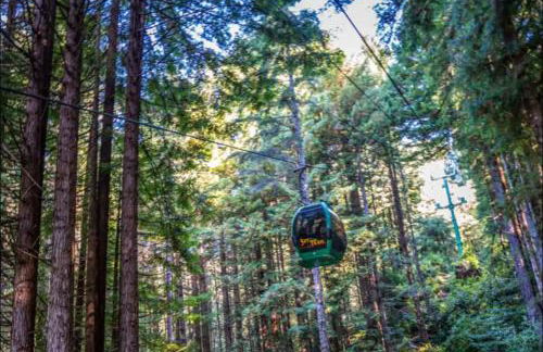 Pacific Seaside House by Pebble Beach & Redwoods - Foto 41