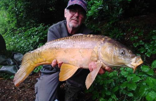 Charming 2-Bed Cabin in Domfront-en-Poiraie - Foto 29