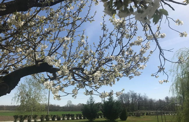 Agriturismo La Biandrina - Foto 51