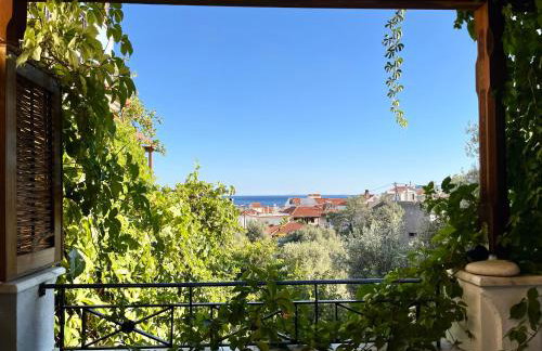 Pantheon Apartments & Studios - Photo 36