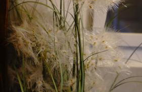 Domki na Górniej Łące - Domek Górny - Foto 64