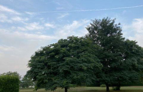 Hameau du Soleil - Papillon - Foto 3