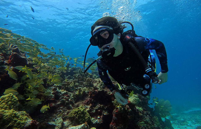 Bautismo de buceo en Cancún - Foto 6