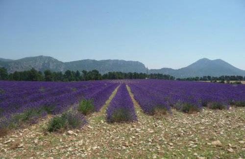 Holiday Home Provence with Pool - Foto 40