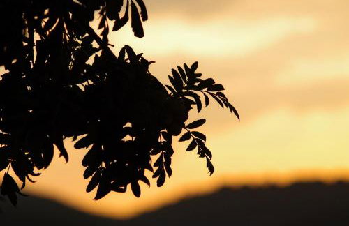 Large and charming apartment near beach with big & sunny terrace - Photo 48