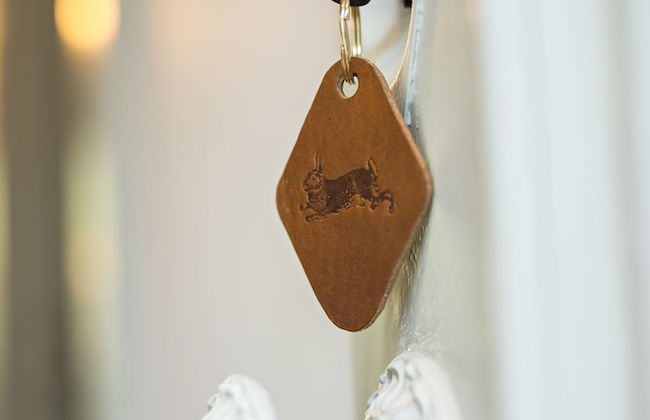 Quinta de S. Bernardo Winery & Farmhouse - Foto 47