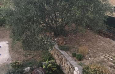 Family friendly house with a swimming pool Kostanje, Omis - 14176 - Photo 30