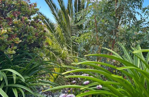 Casa Buenavida - Foto 23
