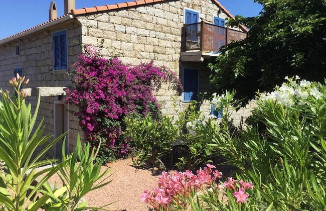 Le Moulin de Figari - Foto 34