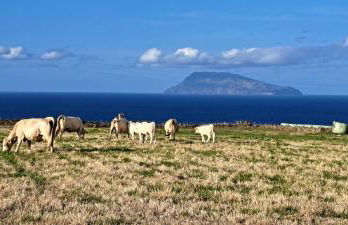 Casa da Maíssa - Foto 25