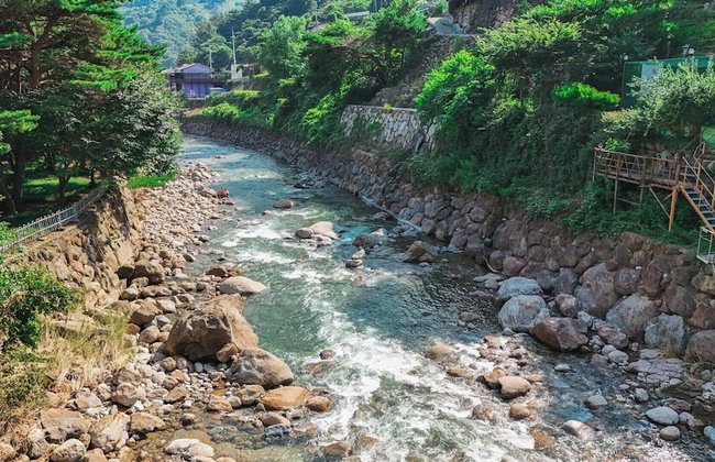 Jirisan 1 Night 2 Days Pension - Foto 43