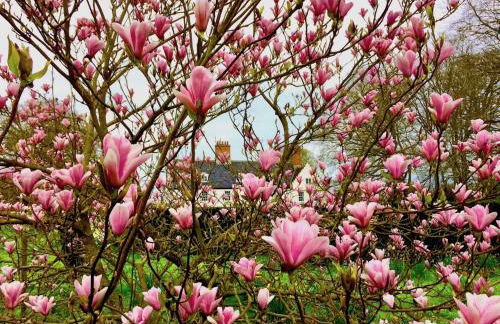 Swafield Hall - Foto 44