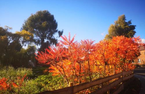 Gästehaus Maria Rast - Foto 52