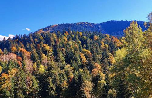 Logement 6 pers au cœur des montagnes pyrénéennes linge de maison et papier toilette non fournis - Foto 22