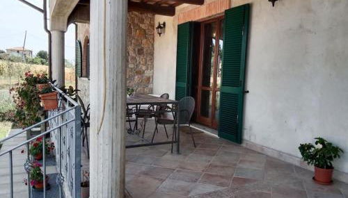 Il giglio perlato - Foto 3