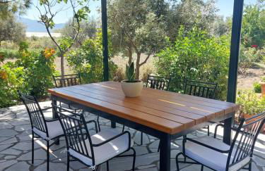 The Three Palms Samos Seaside Villa - Foto 14