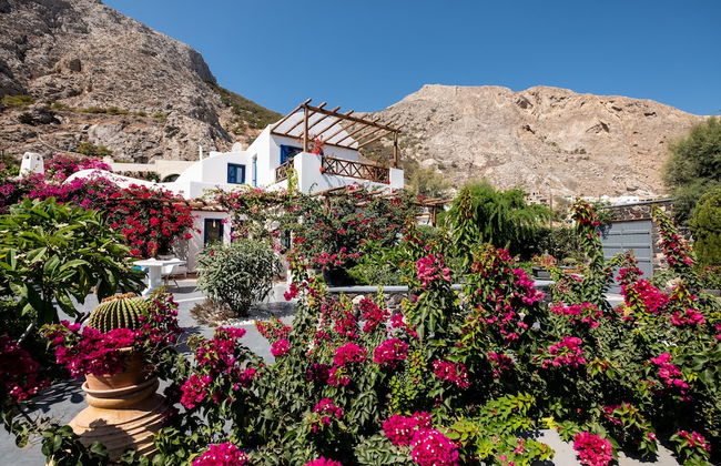 Santorini Mystique Garden - Photo 26