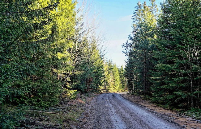 6 Person Holiday Home in Vittsjo - Foto 6