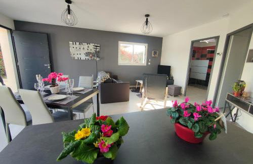 Perroquet & Koala 2 logements 10min du zoo de Beauval et proche château - Foto 38