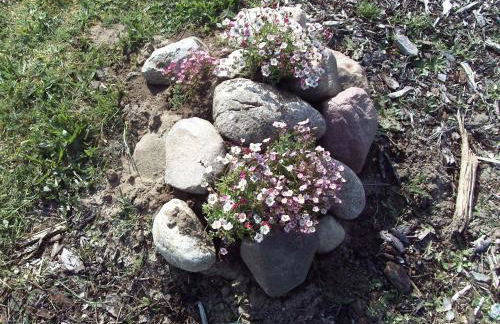 Ferienhaus _ Sonnenschein - Foto 18