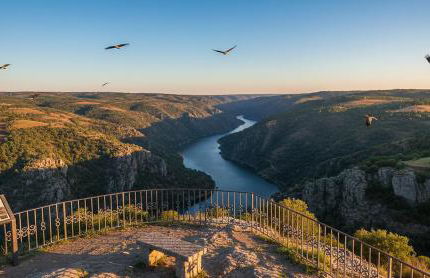 Refugio Transmontano - Foto 37