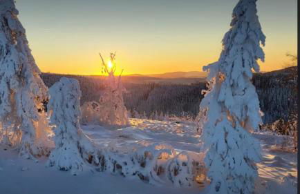 FEWO Jäger - Foto 39