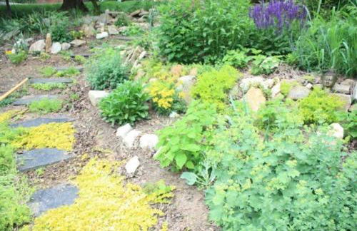 Happy Haven w hottub, Gym, & hammocks in West AVL - Foto 22