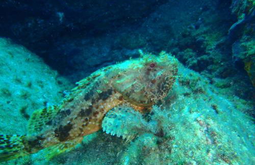 Villa with Aegean views - Foto 47