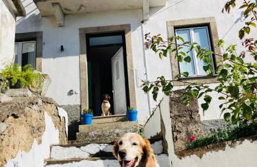 Casa SuasDuas - Foto 10