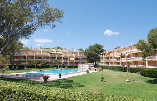 Zeus Guardamar Seaview - Foto 17