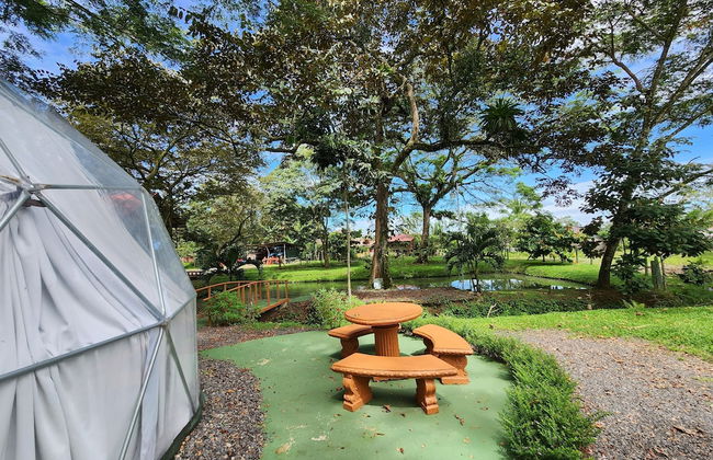 Domo Geodésico 01 - Foto 7