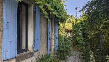 Les Volets Bleus - Foto 5