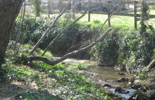 Cosy dog friendly lodge with an outdoor bath on the Isle of Wight - Foto 21