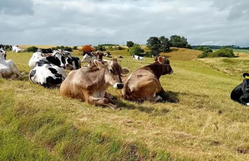 Ferienhaus am Kuhstall - Foto 27