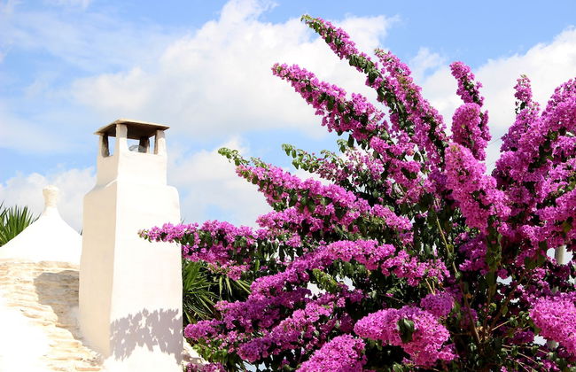 Trullo Madia with Shared Hot Tub in Nature - Foto 58