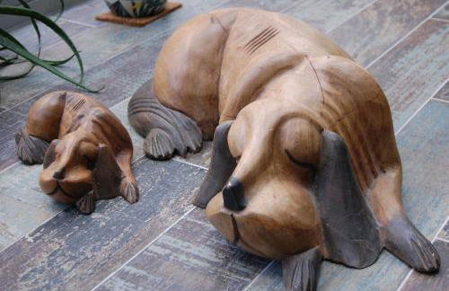 Maple Gardens Studio - Foto 34