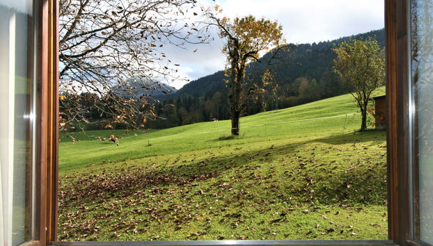 Amberg - Foto 5, View