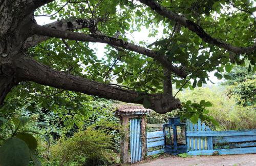 Slow House y La cabaña de Miss Slower - Foto 12