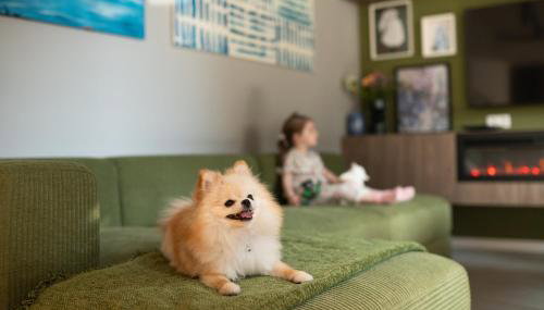 HOUSE 756 MAINZ - DESIGN-FERIENHAUS, 4 Schlafzimmer, 3 Bäder, SAUNA & Kamin - Foto 5, young children, pet friendly