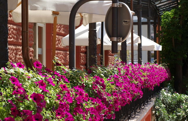 Villa Olea - Foto 35