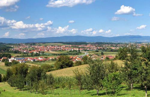 Rural Homestead Trenkovo - Happy Rentals - Photo 84