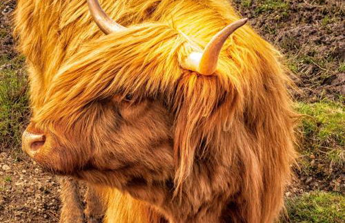 An Outdoor Enthusiasts Piece of Heaven - Photo 42