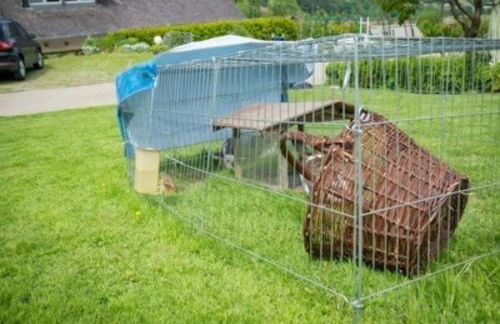 Ferienwohnungen Maierhof Oberried - Foto 55