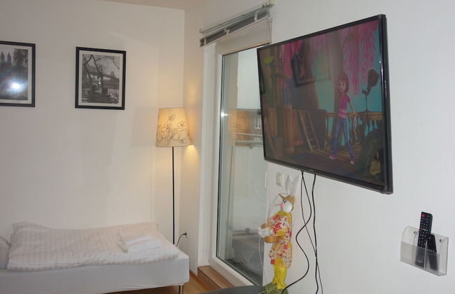 Tolstov-Hotels Big Room Apartment - Foto 13