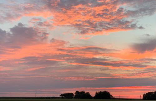 Appartements unter Reet - Foto 24