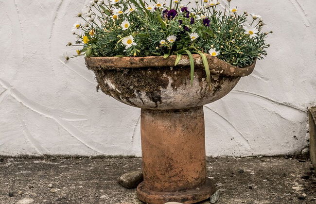 The Song House - Photo 9