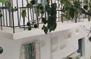 Tristrato - Photo 6