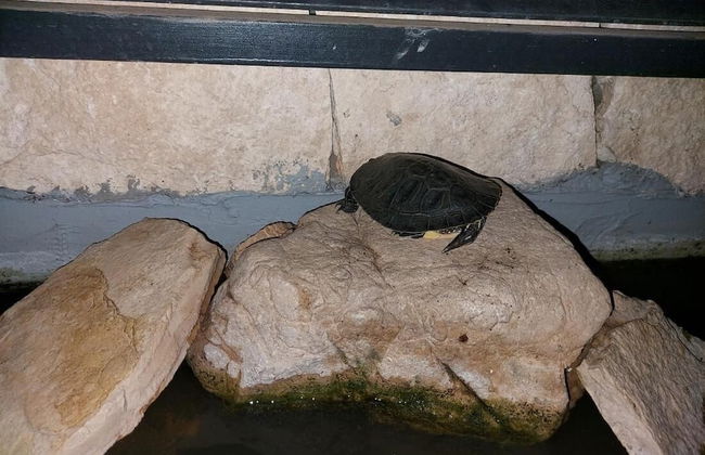 Blu Etna Casa Vacanze - Foto 71