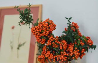 The House Around The Corner - Photo 16